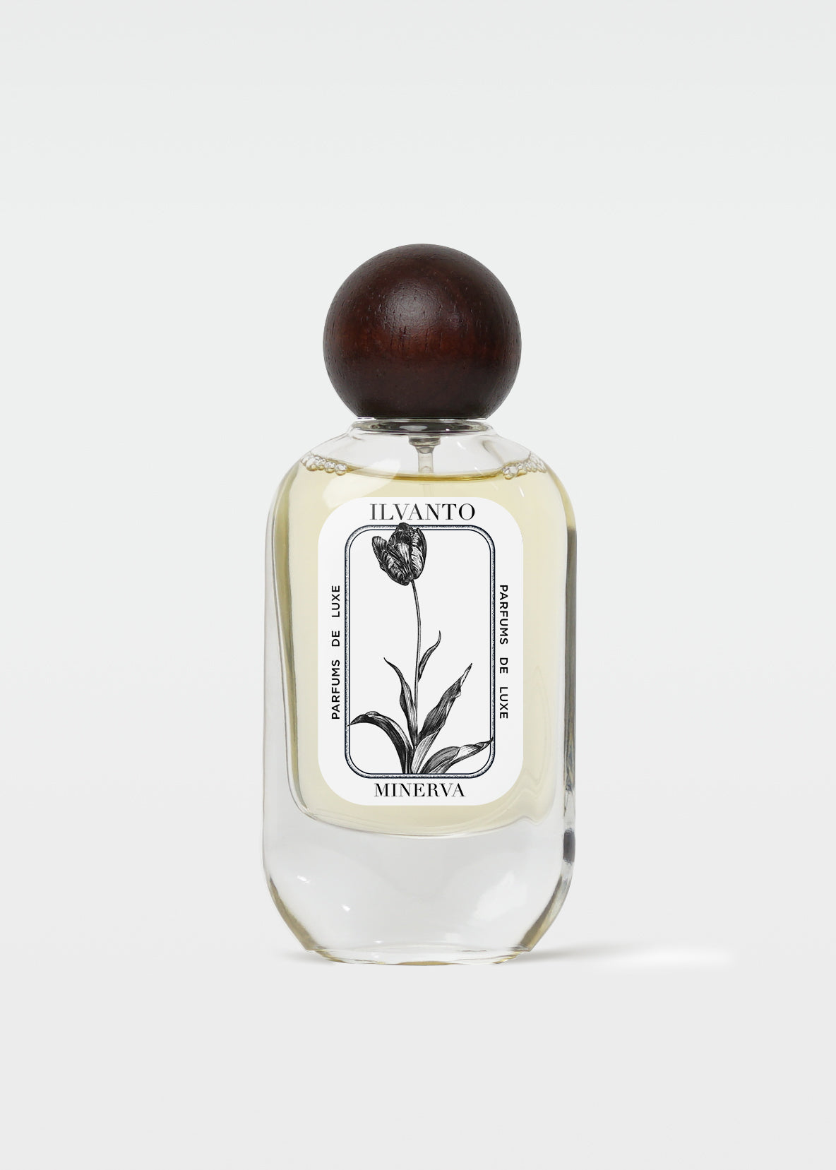 Minerva - 50 ML