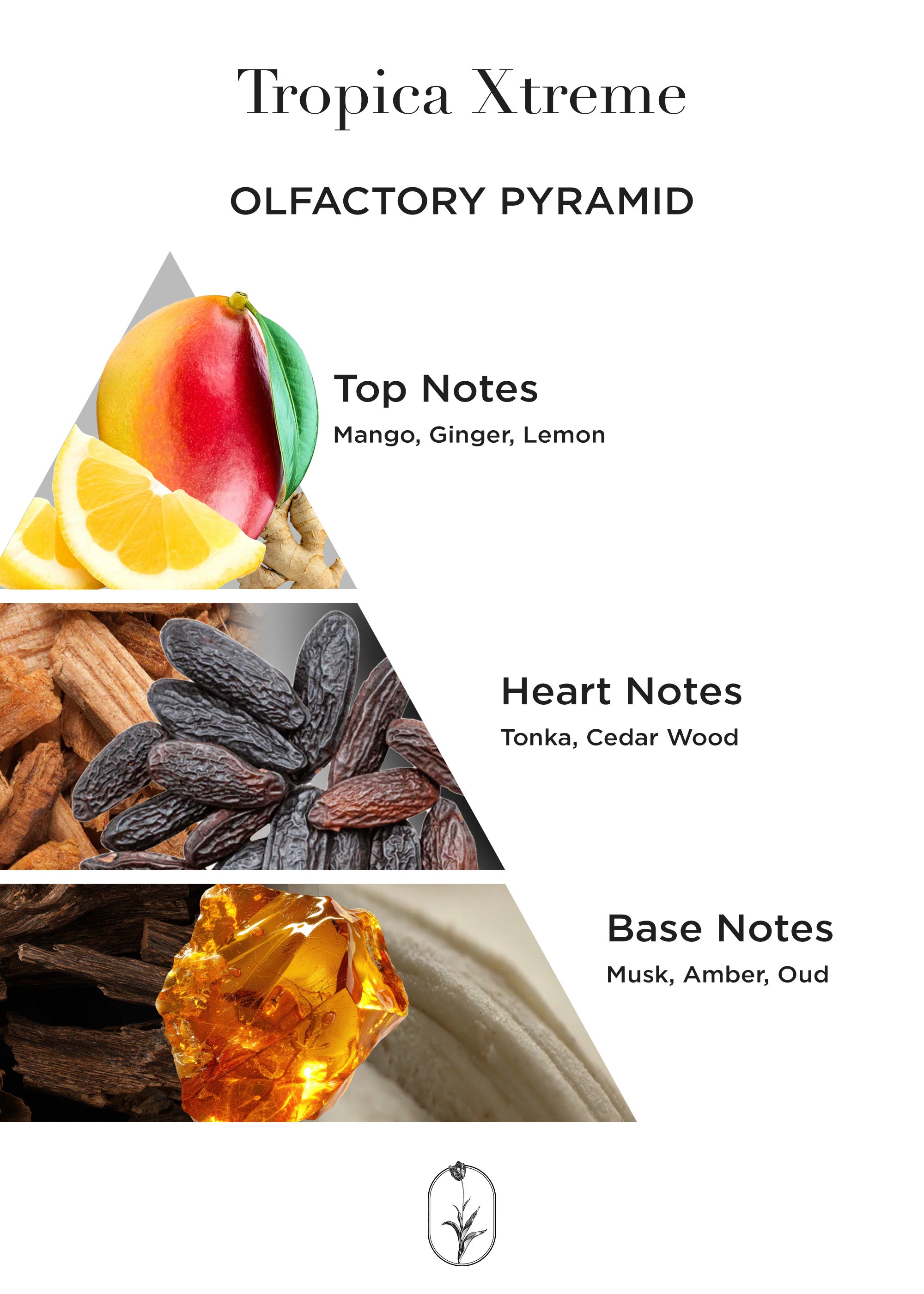 Tropica Xtreme - 50 ML