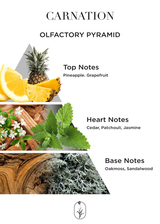 Carnation - 50mL