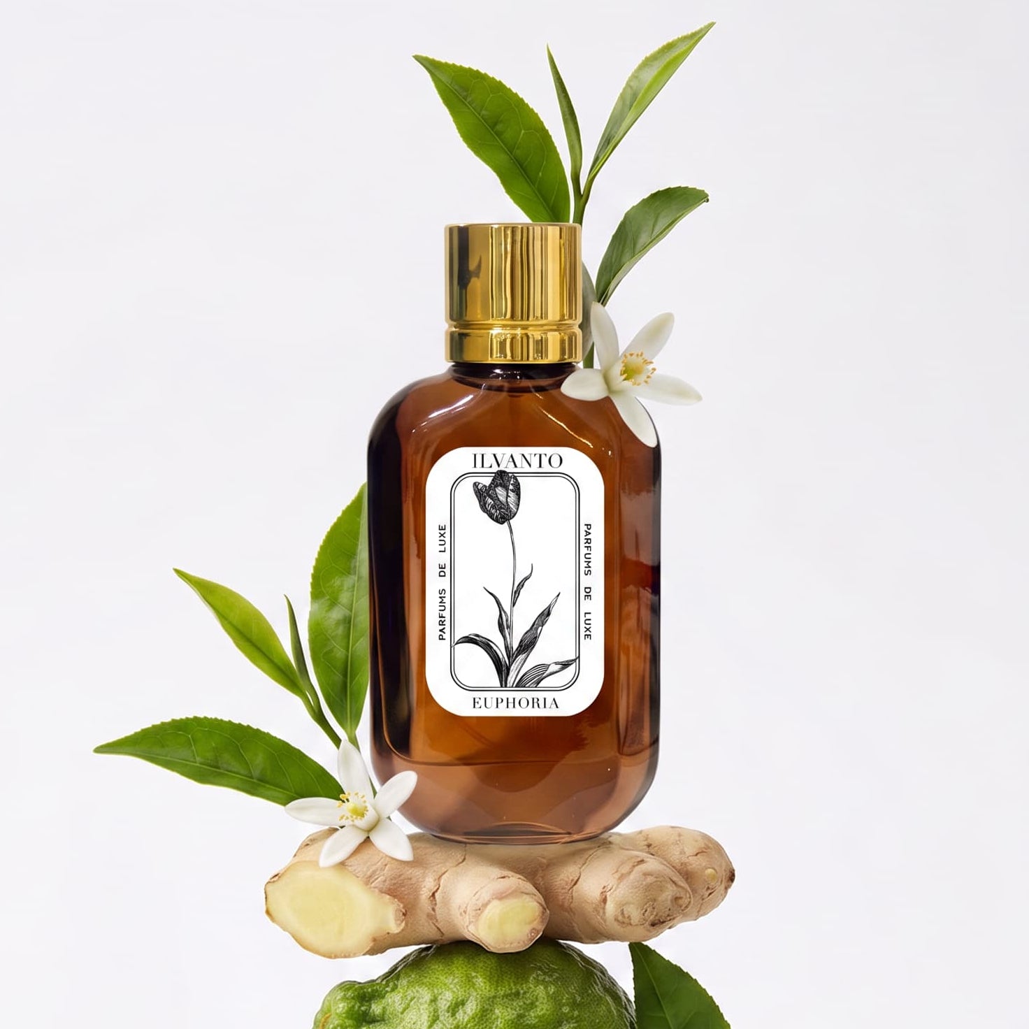 Euphoria - 100 ML