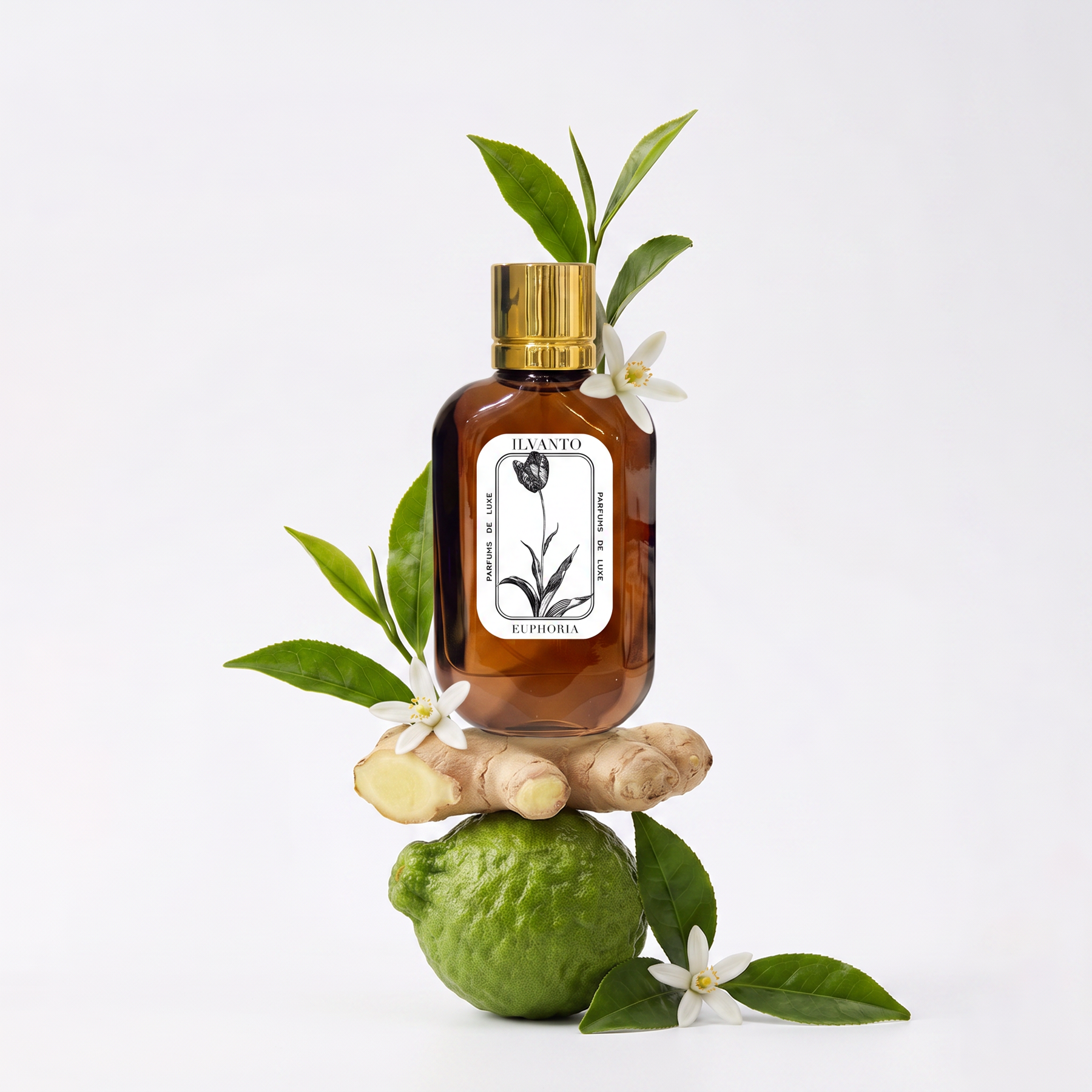 Euphoria - 100 ML