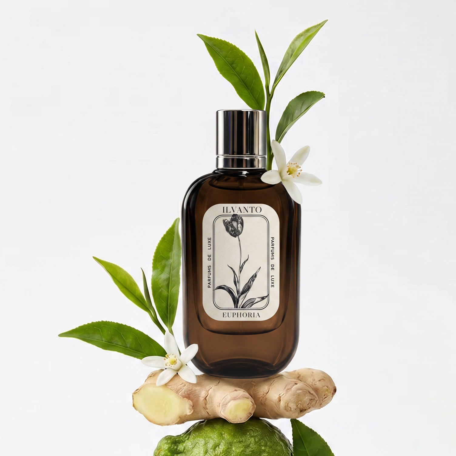 Euphoria - 50 ML