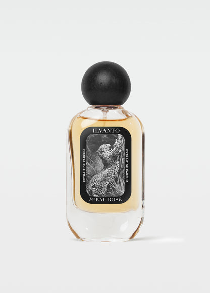 Feral Rose- 50 ML