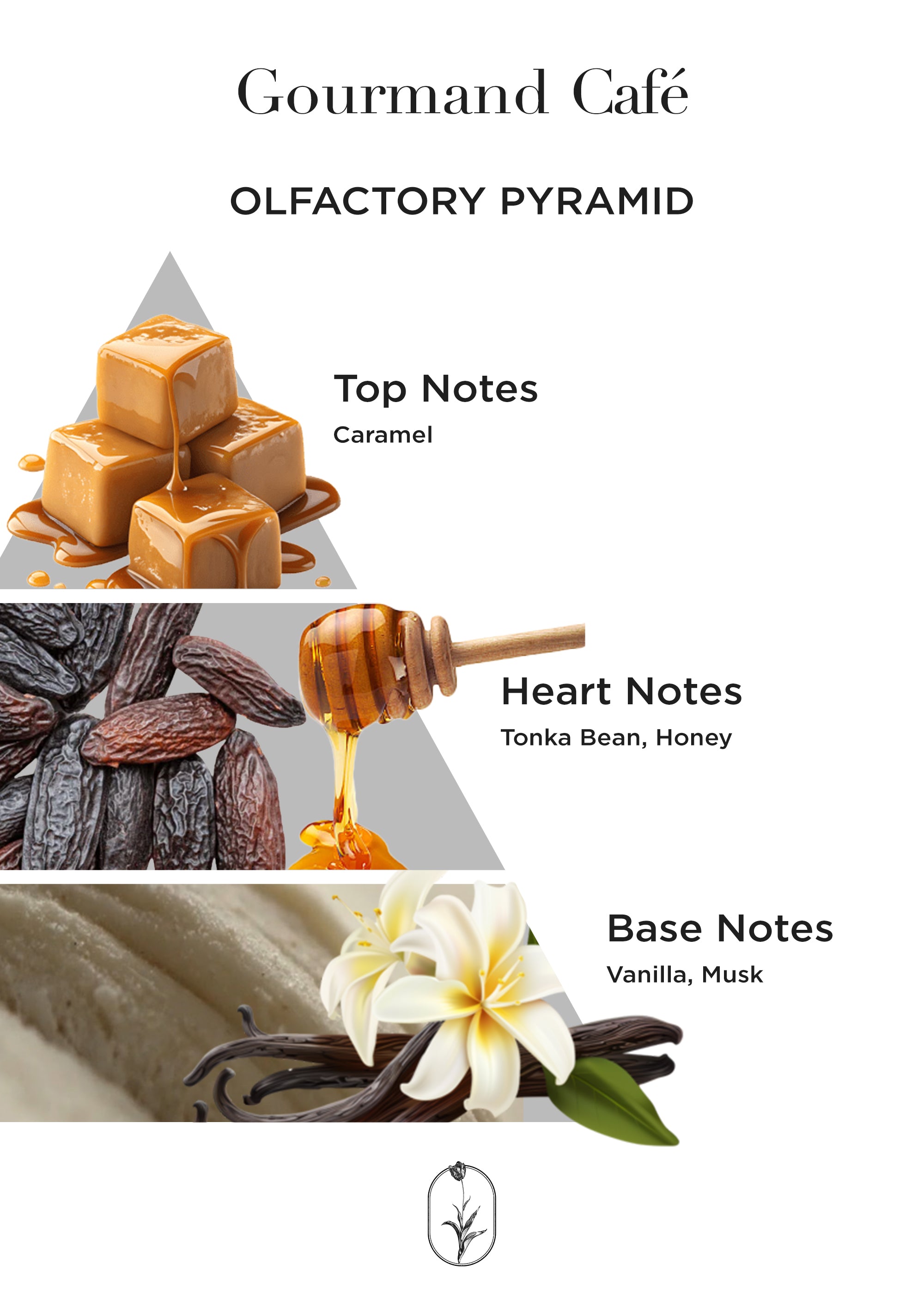 Gourmand Café - 50 mL