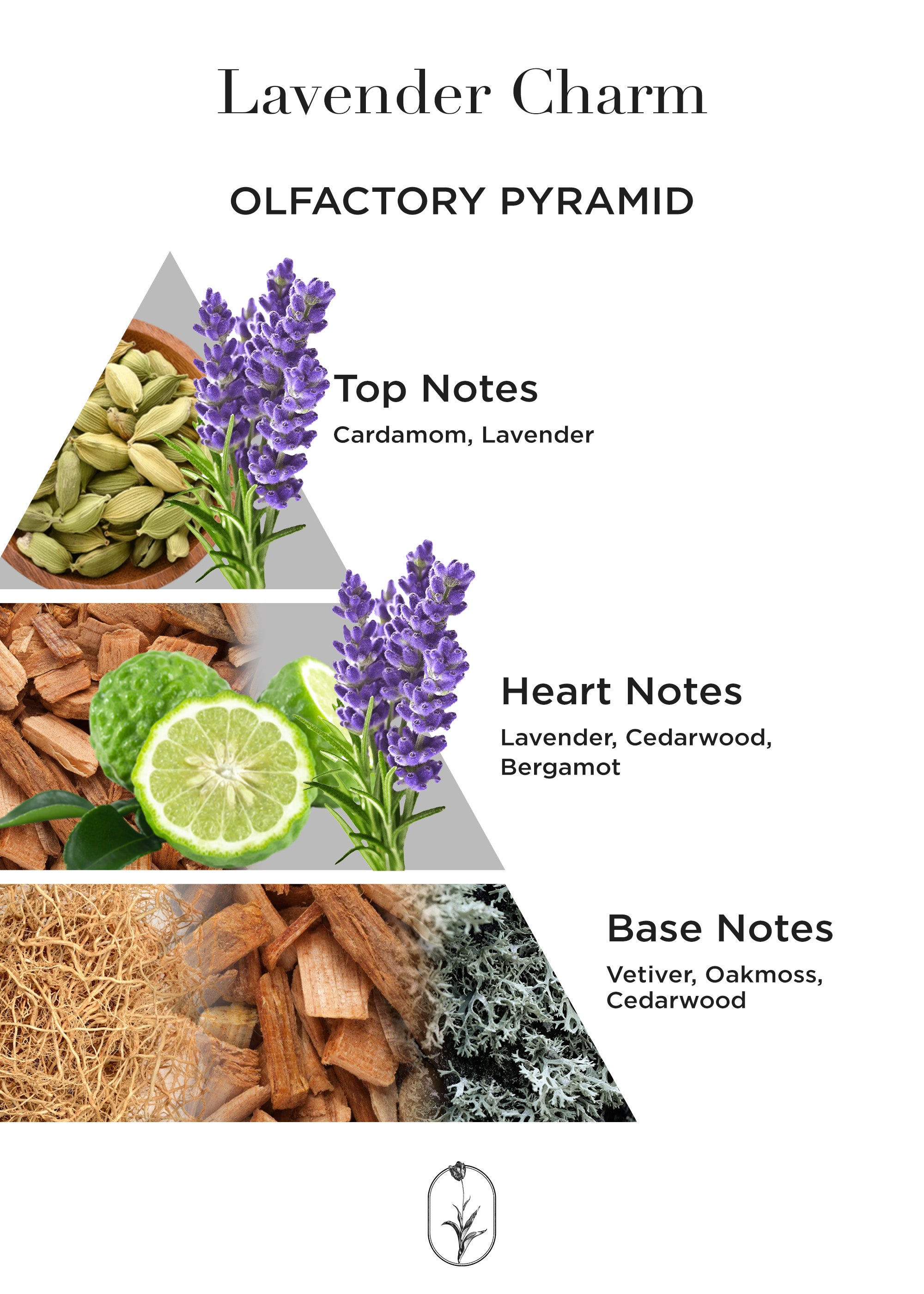 Lavender Charm - 50 ML