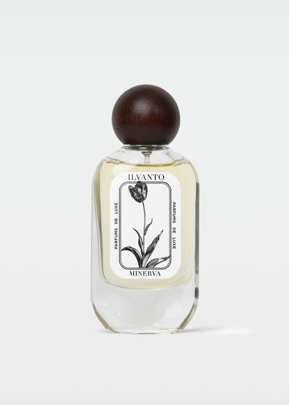 Minerva - 50 ML