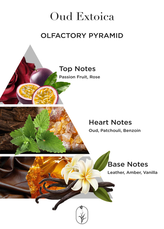 Oud Exotica - 50 mL