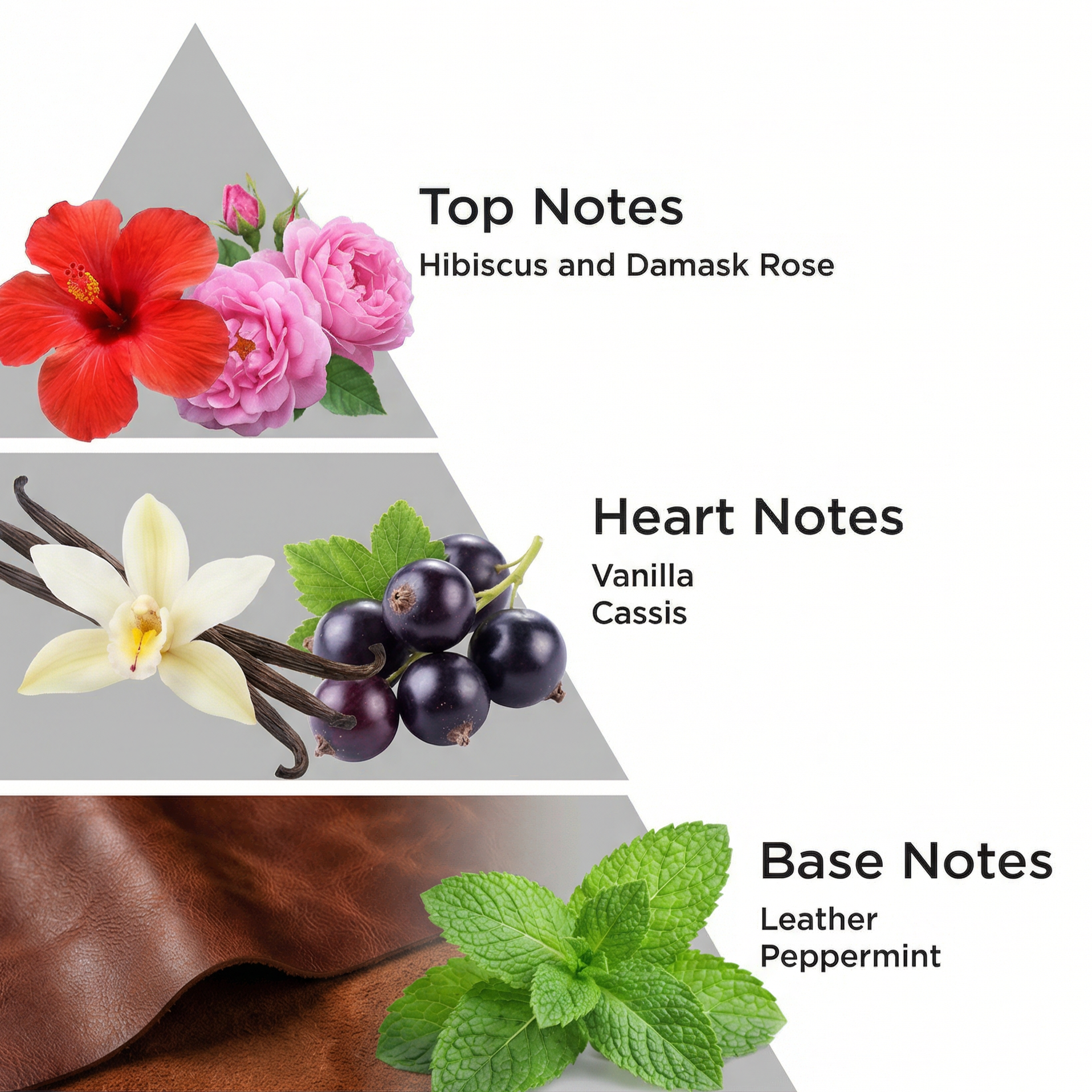Royal Hibiscus - 100 ML