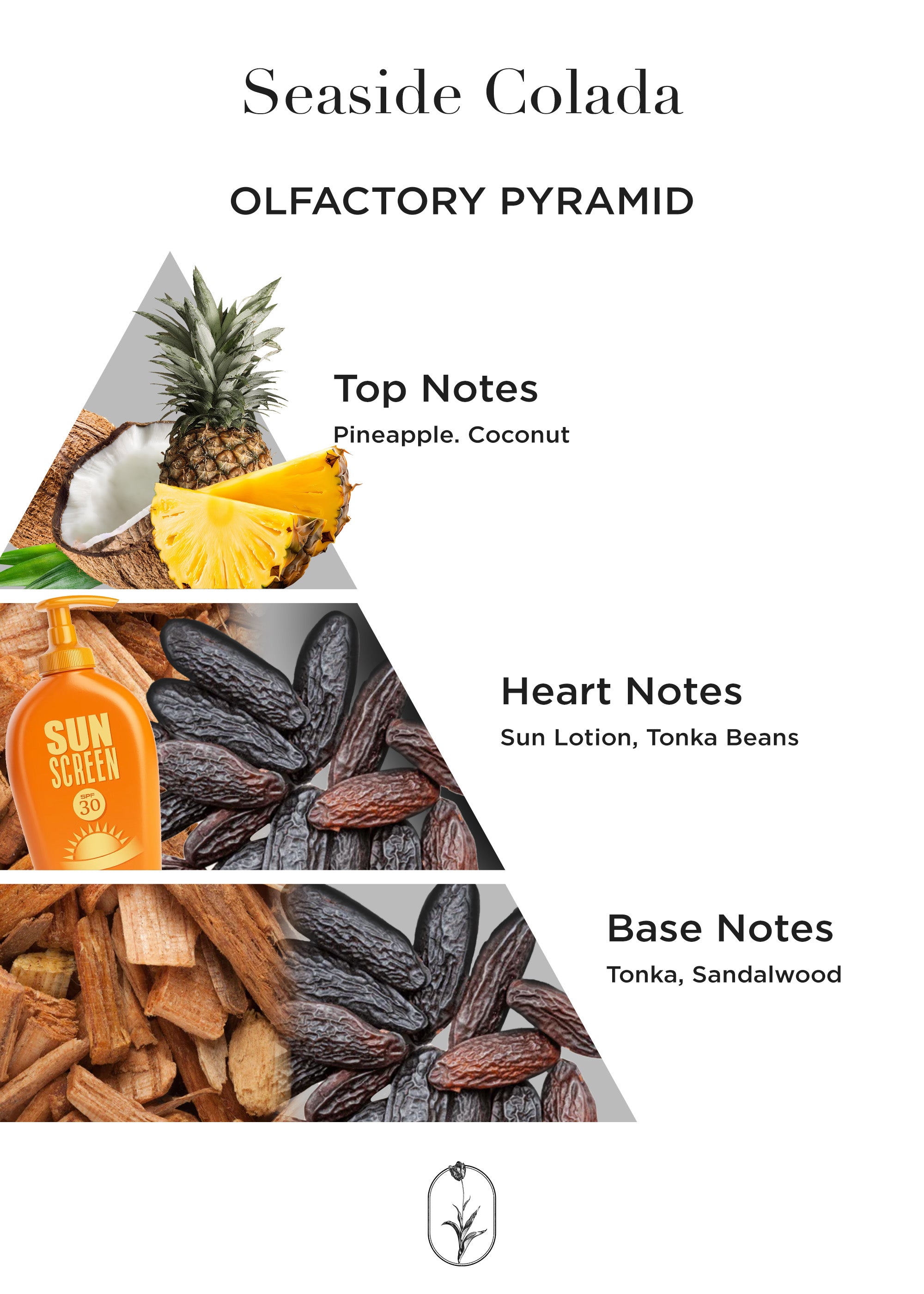 Seaside Colada - 50 ML