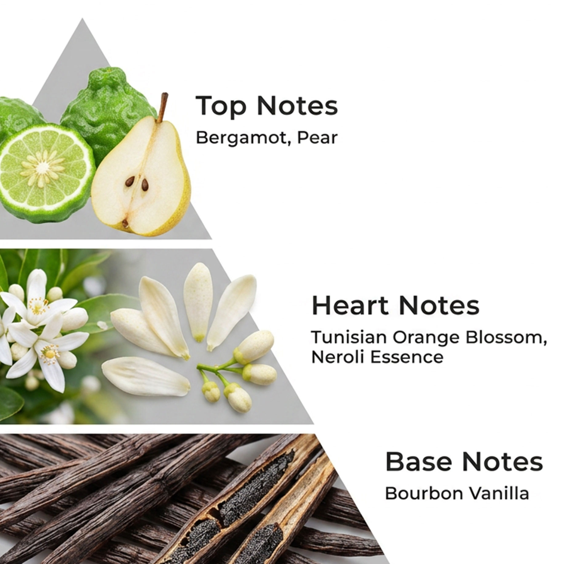 Nude Bloom - 100 ML